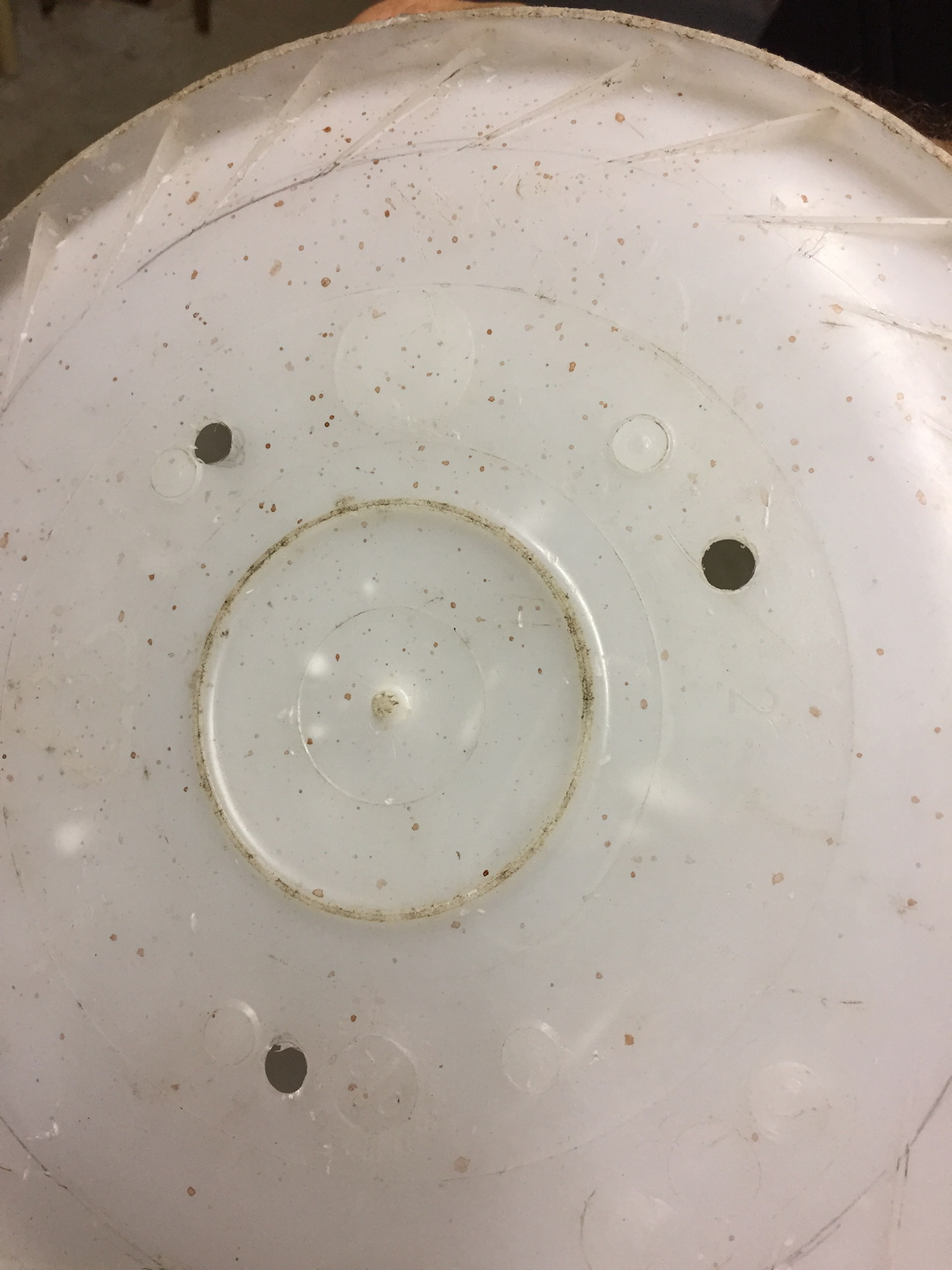 Holes drilled in the bottom of 20L bucket I had in the garage, ready for the chicken nipples to be installed.