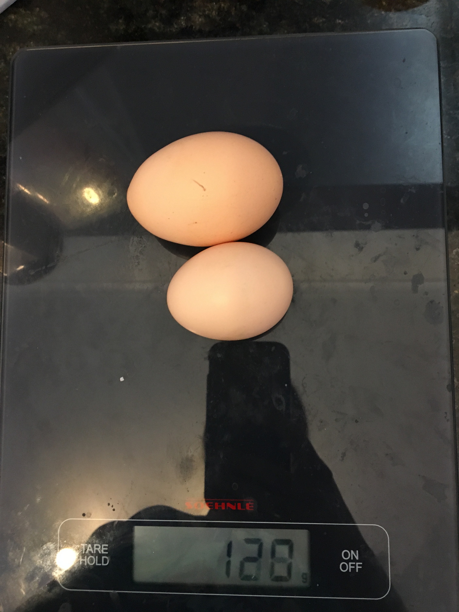 Not all eggs are created equal. Here we have a 73 gram egg and a 47 gram egg. The 73 gram egg turned out to be a double-yolk egg. We've had a few of those now. Great when it happens!