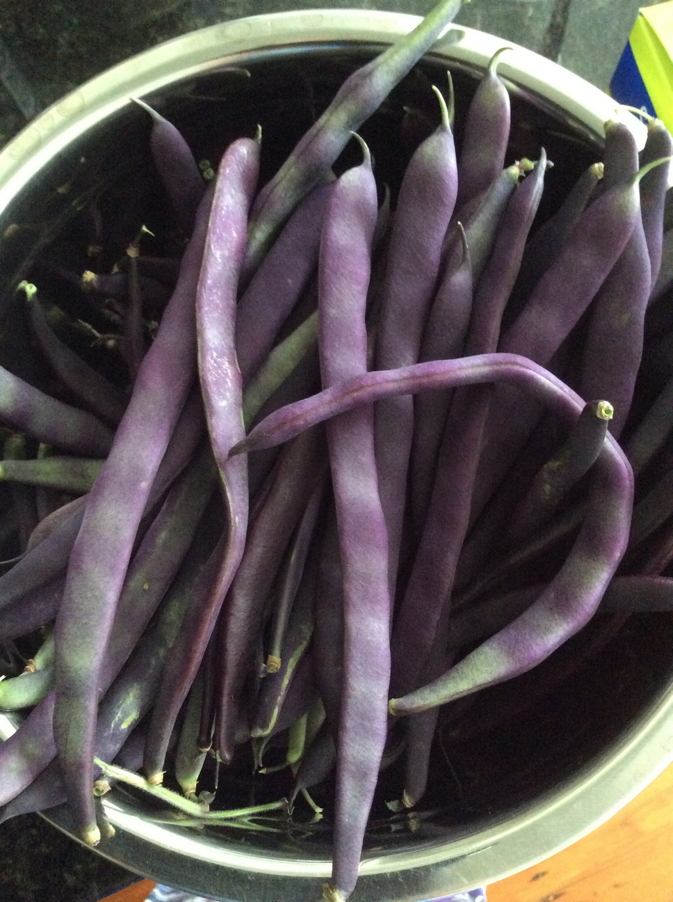 Purple King Beans