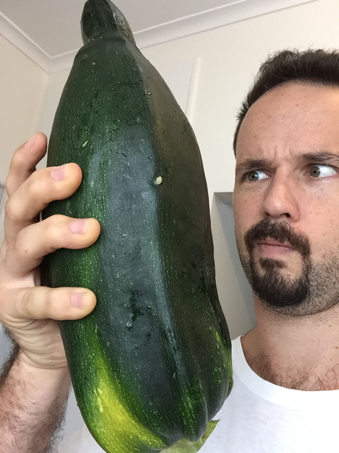 I left this zucchini a bit long and it got huge! Almost 2kg!