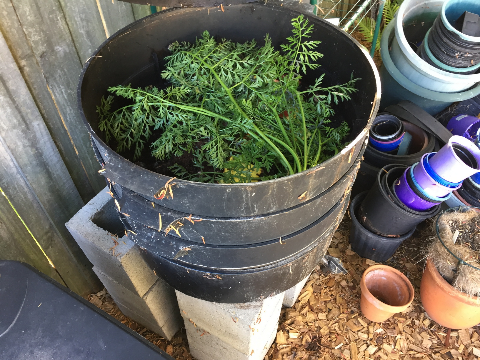 The worm farm with the lid open.