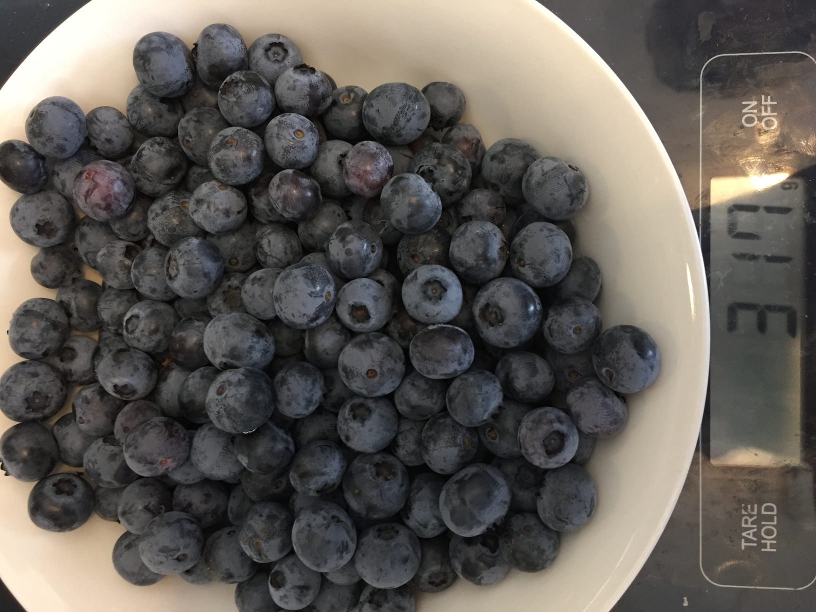 Not a bad haul of blueberries that day