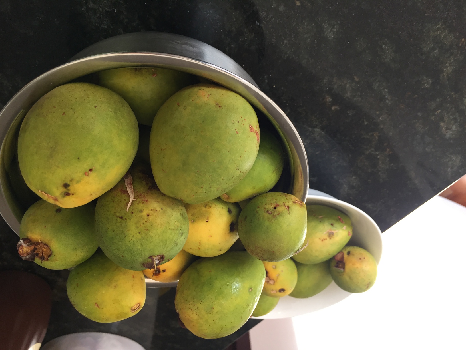 Bowls of guavas. The fruit fly really hammered them, but once you cut out the affected sections, the rest is perfectly usable to make guava pureee.