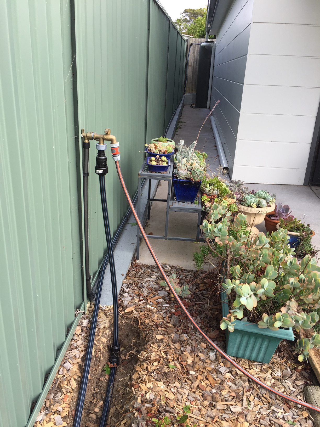 Double outlet tap from rainwater tanks, one outlet connected to normal garden hose, one outlet going to irrigation system. 25mm blue-line poly-pipe (running along retaining wall above the 20mm pipe), carrying mains water to float valve installed in rainwater tank.