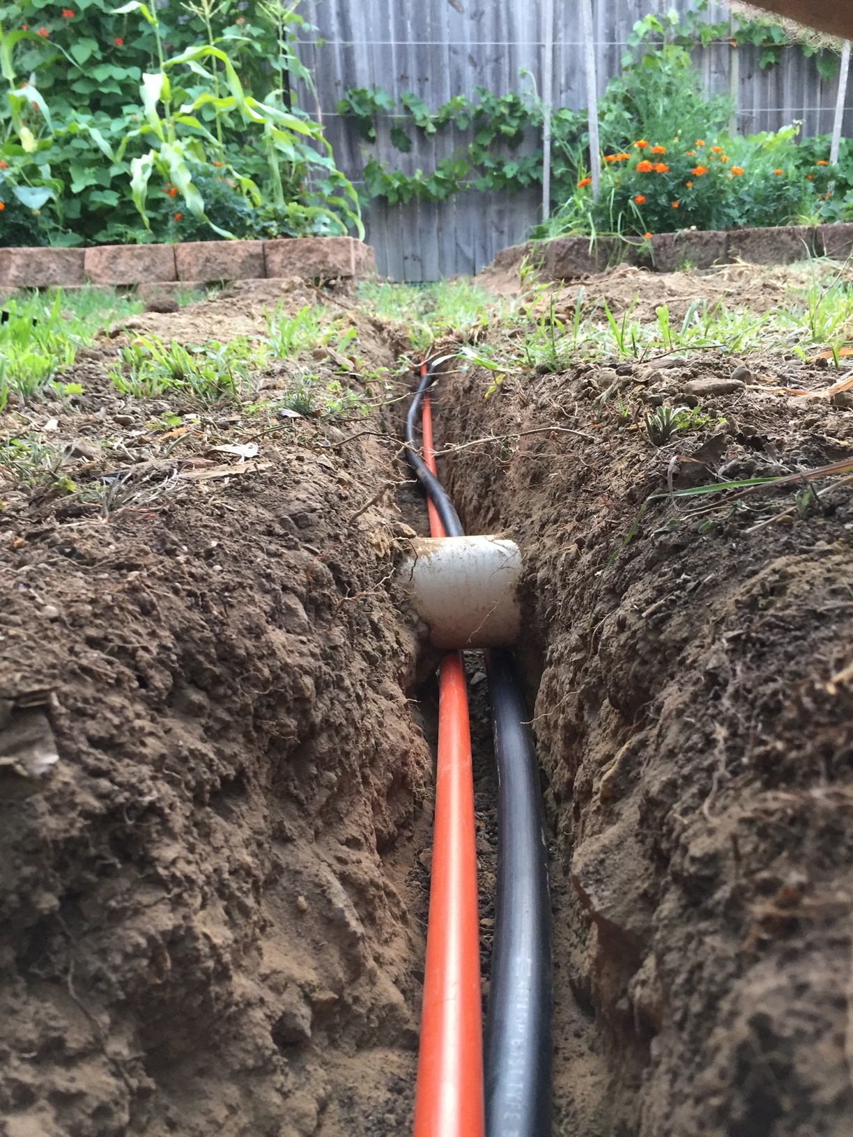 Conduit running underneath a storm-water pipe. Glad I didn't dig through that!