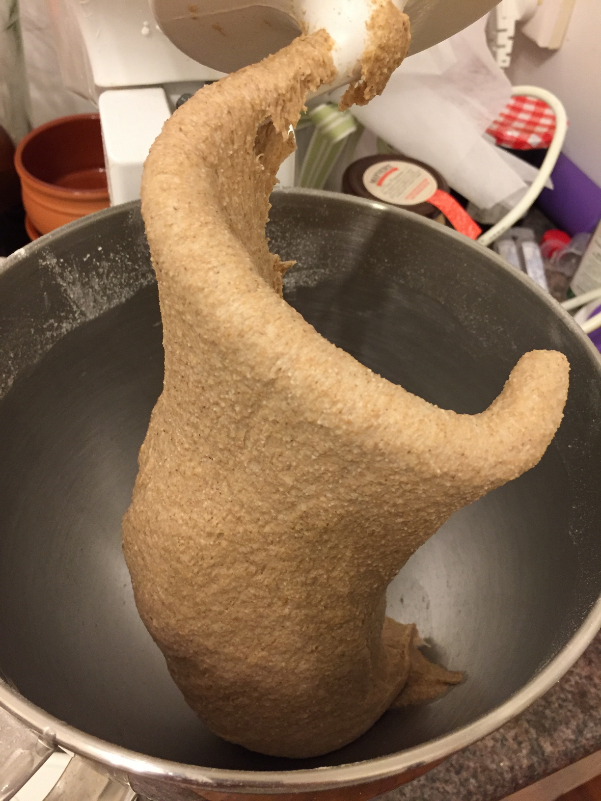 The grittiness is even more apparent in the dough. You can see that the dough does not look silky, like a normal bread dough would, and you can see that it is a lot darker than even a wholemeal flour bread dough, due to the amount of bran left in the flour.