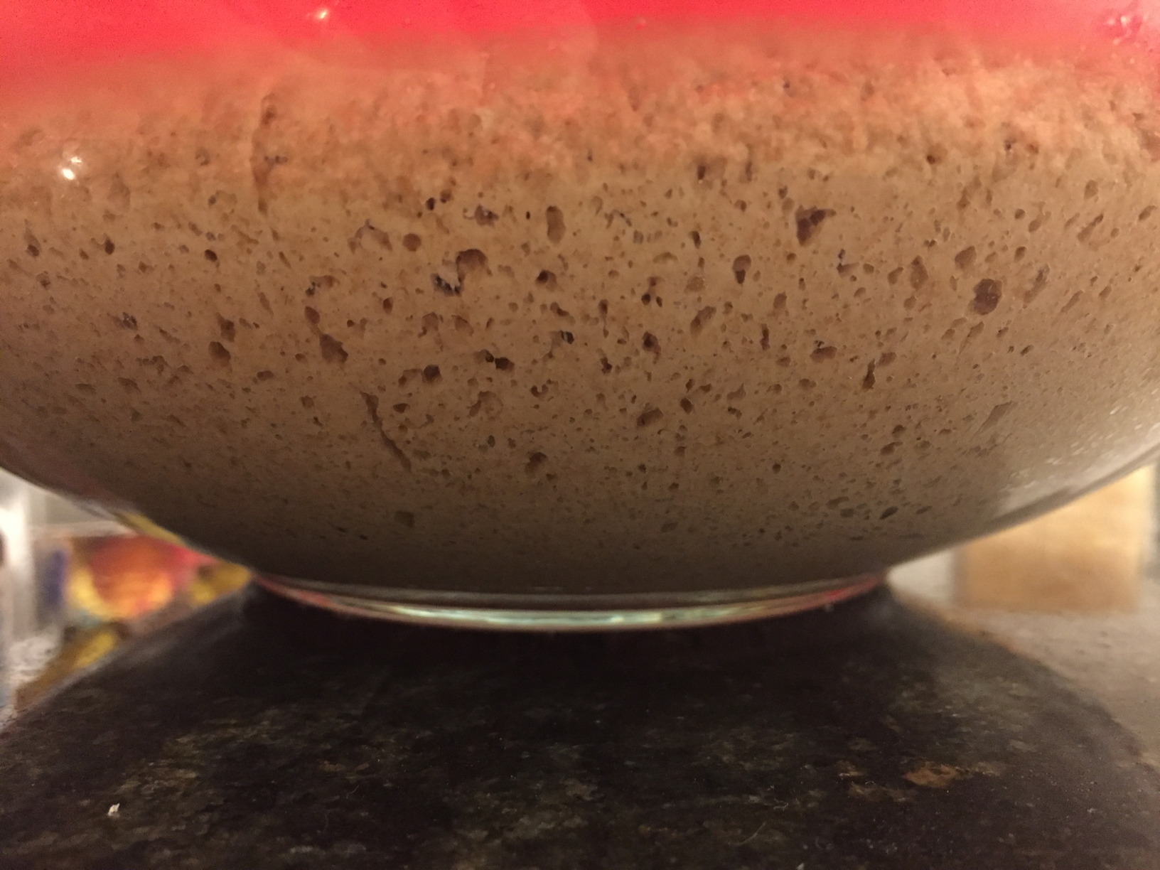 The dough after being left to rise for 4.5 hours