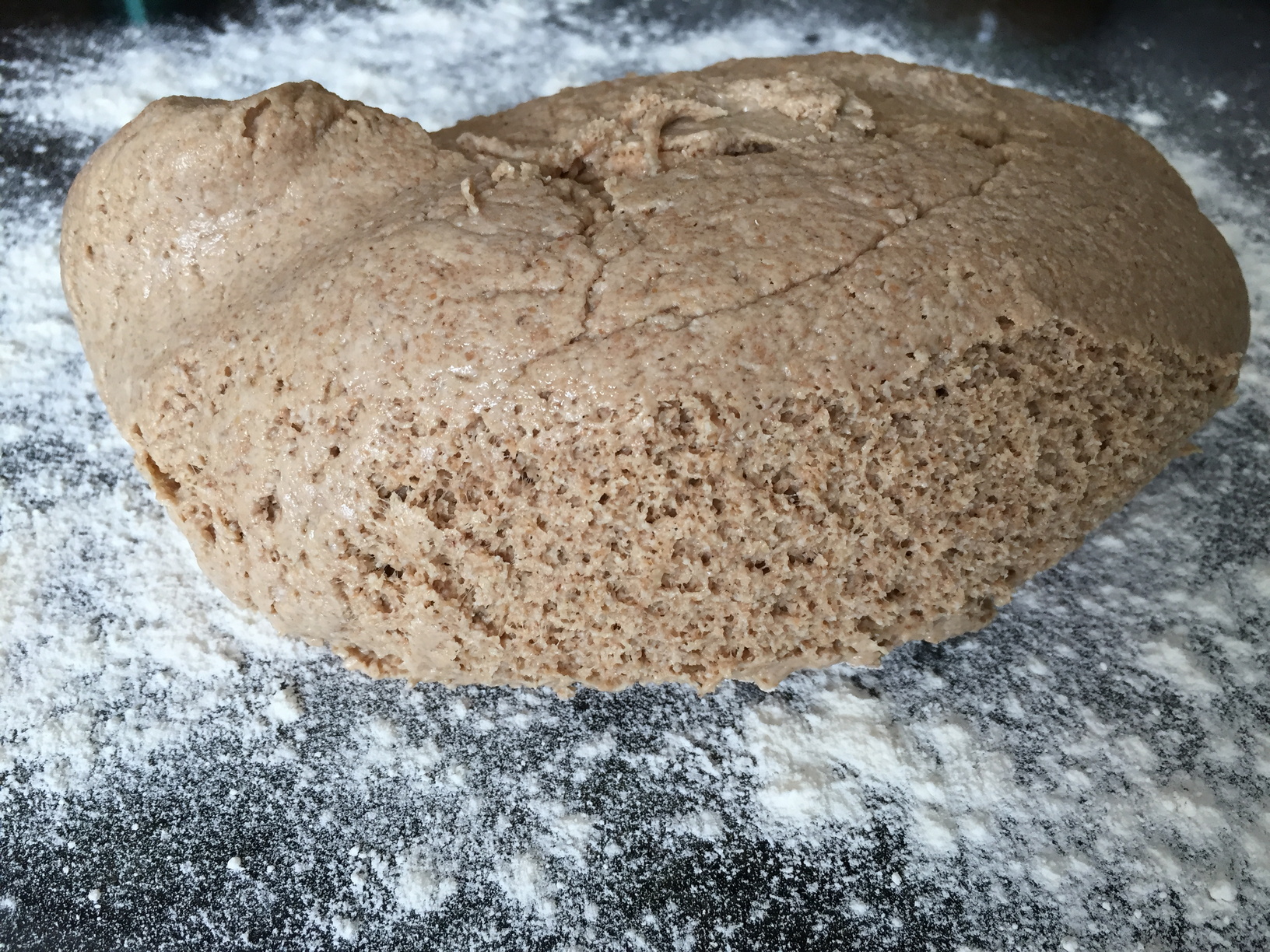 The dough after being left overnight, roughly 13 hours after being mixed