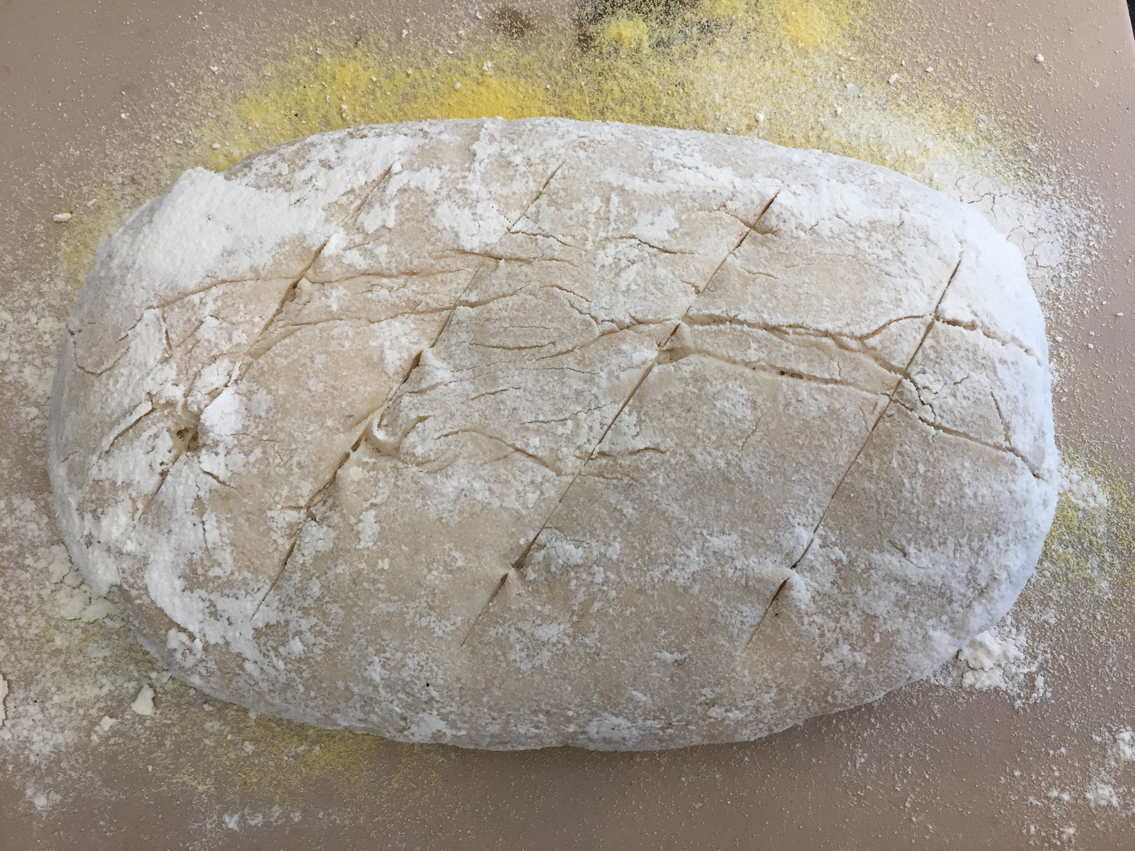 Tipped out onto the baking tray, which was dusted with flour and polenta, and slashed